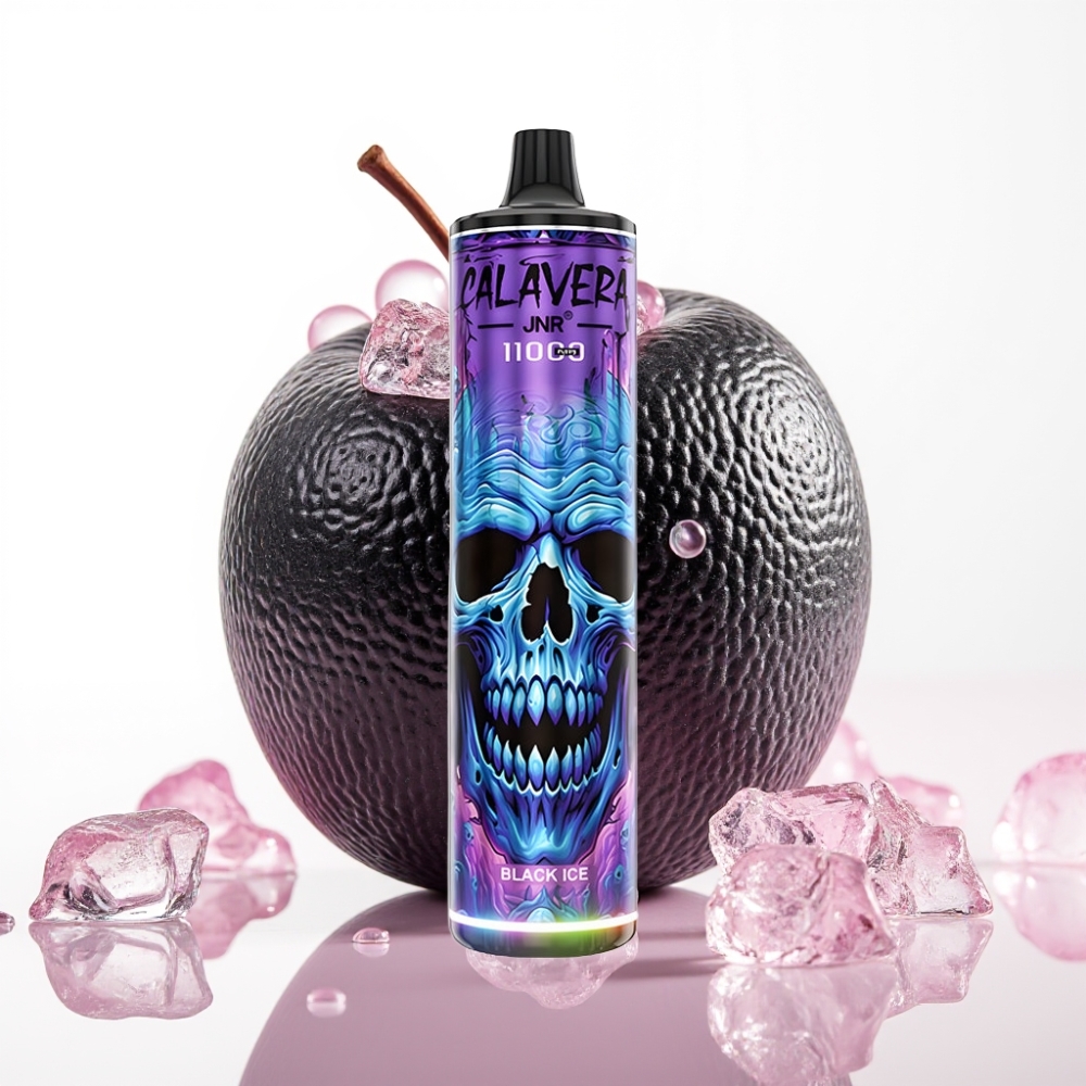 JNR Calavera 11000 Puffs Recarregável USB-C 850mAh 21ml Gelo Negro