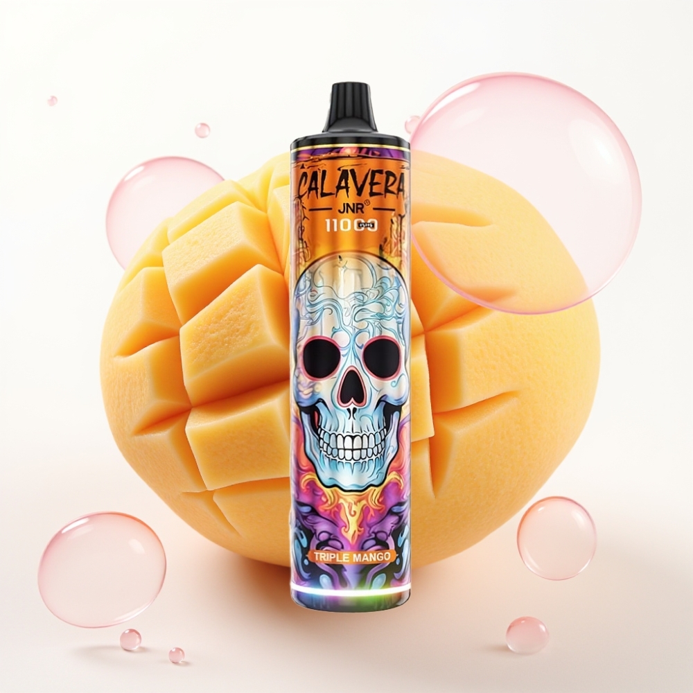 JNR Calavera 11000 Puffs Recarregável USB-C 850mAh 21ml Manga Tripla 0%/2%/5%