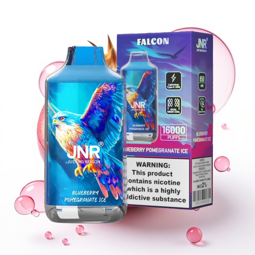 JNR Falcon 16000 Puffs Vape Mirtilo Romã Gelo 850mAh 22ml Dual Mesh Type C LED 0% 2%