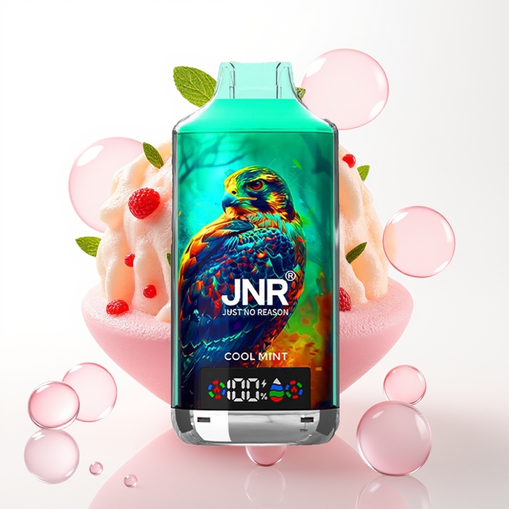 JNR Falcon X 18000 Puffs Disposable Vape Menta Fresca 750mAh 24ml Dual Mesh Digital Type-C 0%/2%/5%