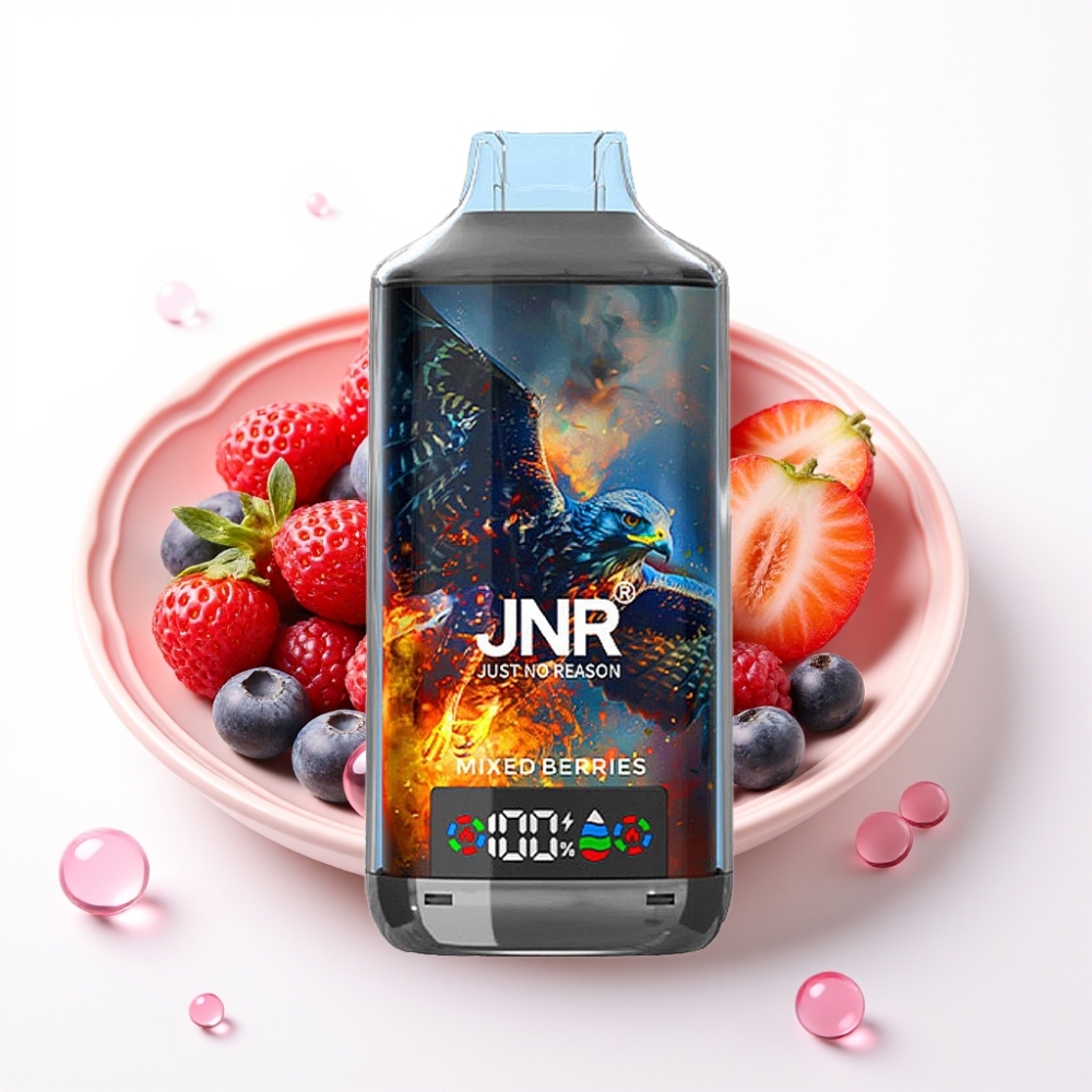 JNR Falcon X 18000 Puffs Vape Bagas Misturadas 750mAh 24ml Dual Mesh Digital Type-C 0%2%5%