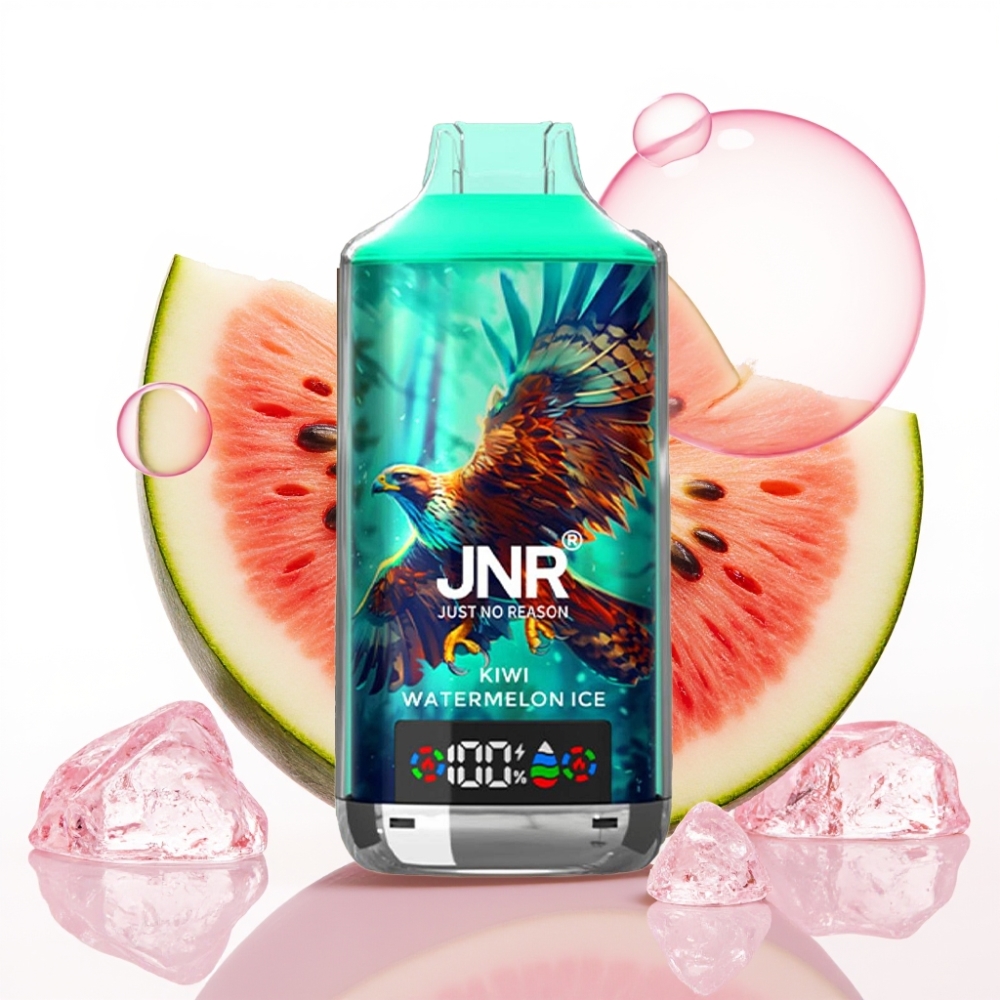 JNR Falcon X 18000 Puffs Vape Descartável Kiwi Melancia Gelada 750mAh 24ml Tipo-C