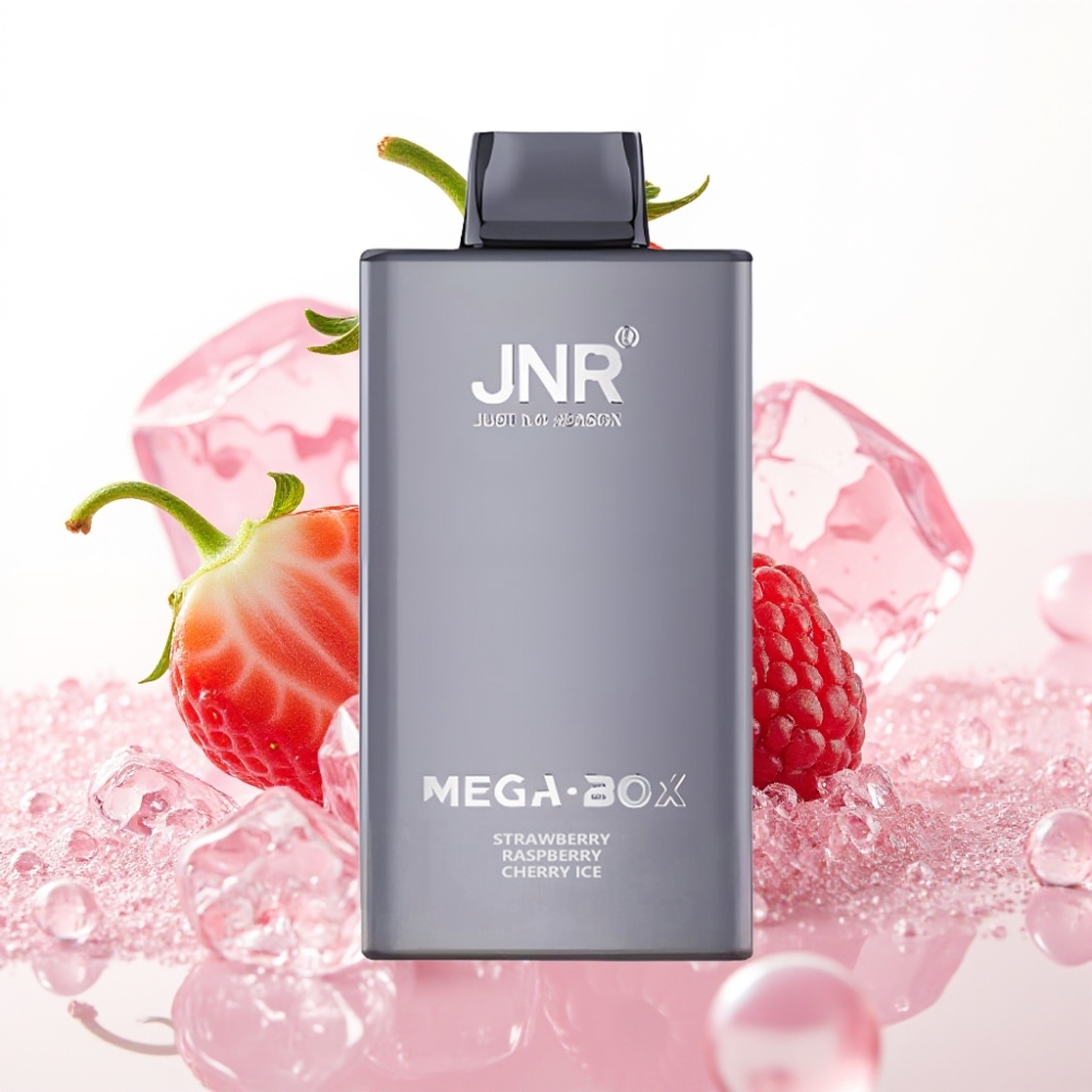 JNR Mega Box 25000 Puffs Disposable Vape Morango Framboesa Cereja Gelo 30ml 850mAh Dual Mesh