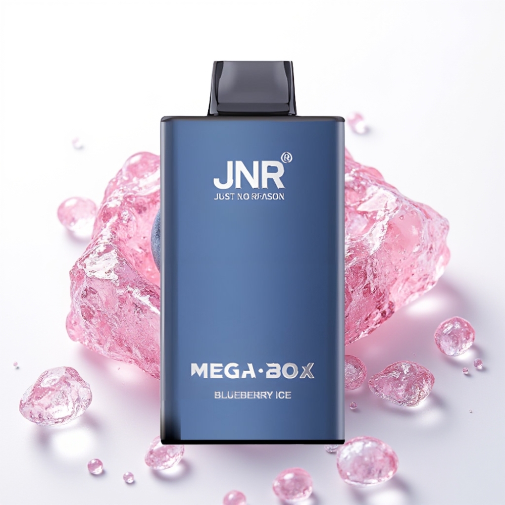 JNR Mega Box 25000 Puffs Recarregável USB-C 30ml Mirtilo Gelo