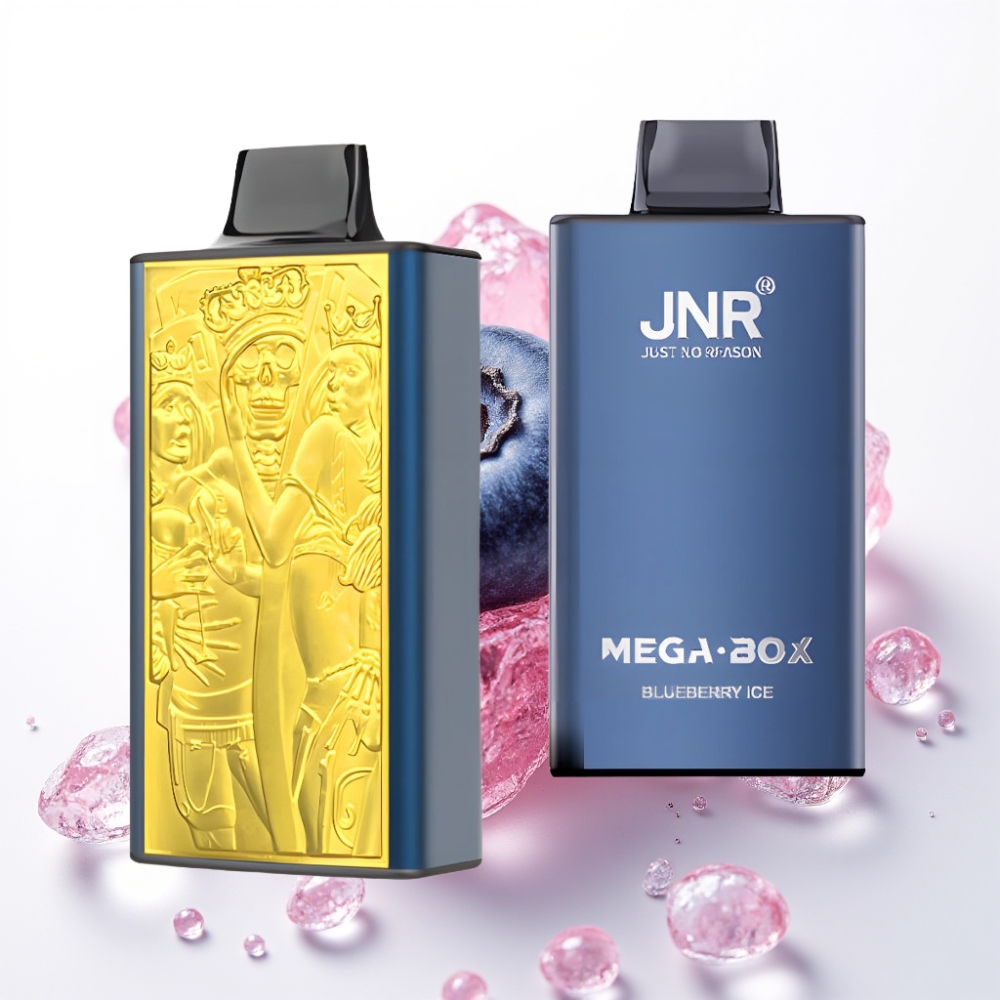 JNR Mega Box 25000 Puffs Recarregável USB-C 30ml Mirtilo Gelo