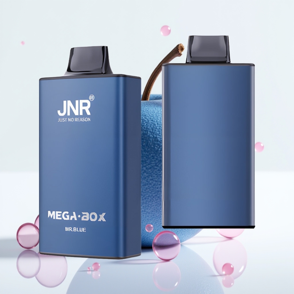 JNR Mega Box 25000 Puffs Vape Descartável 30ml Mr Azul Dual Mesh Type-C
