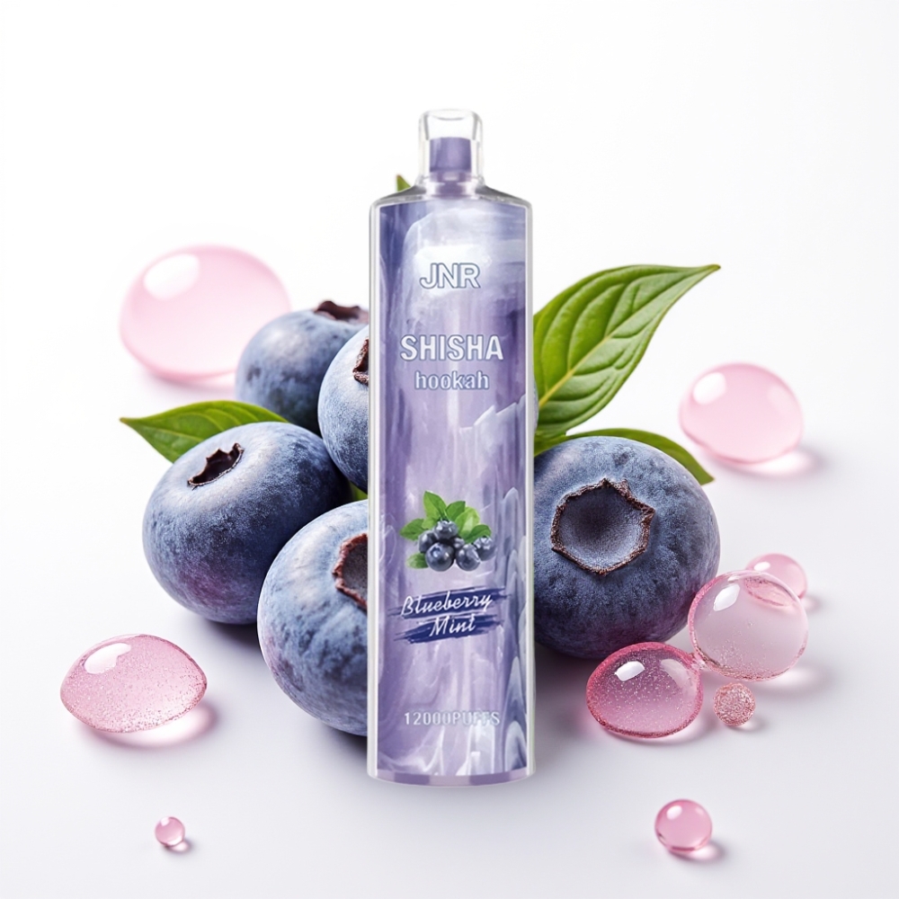 JNR Shisha Hookah 12000 Puffs 24ml 750mAh Tipo-C Menta Blueberry