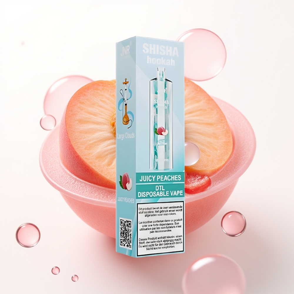 JNR Shisha Hookah 12000 Puffs 24ml 750mAh Tipo C Sabor Pêssegos Suculentos