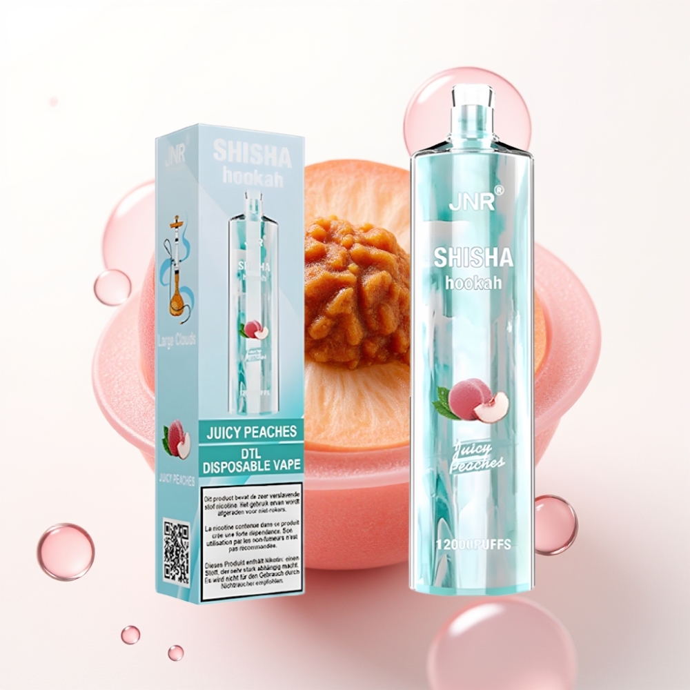 JNR Shisha Hookah 12000 Puffs 24ml 750mAh Tipo C Sabor Pêssegos Suculentos