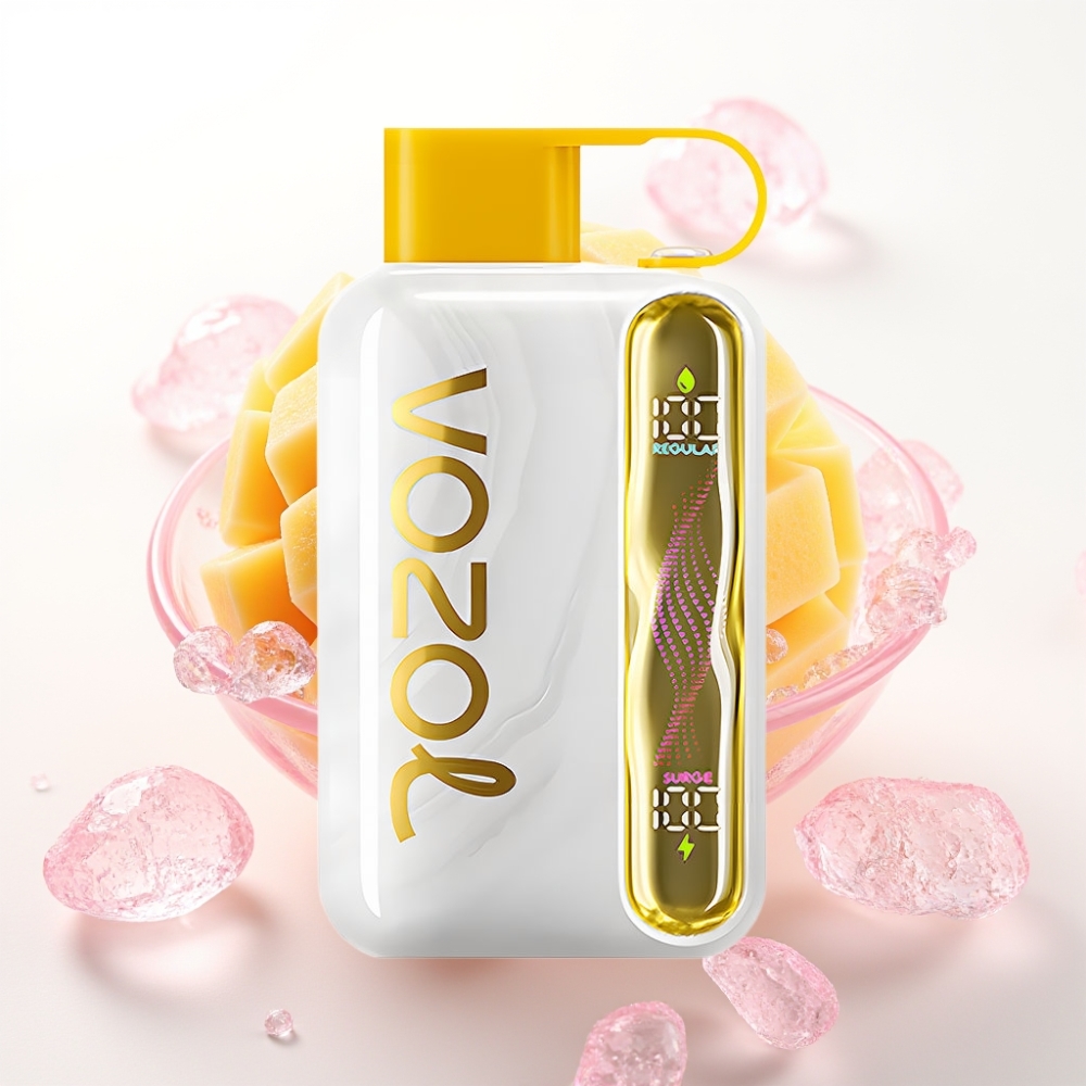 VOZOL STAR 40000 Puffs Vape Descartável Manga Gelo 1000mAh Tipo-C 20/50mg/ml