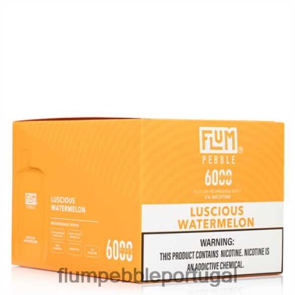 FLUM PEBBLE Portugal - FLUM PEBBLES 6.000 baforadas 10 pacotes H682F051 melancia deliciosa
