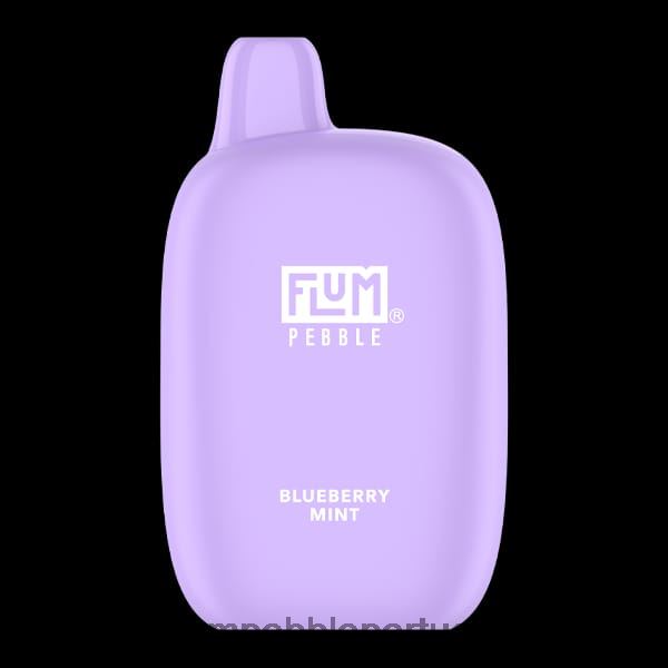 FLUM PEBBLE Price - FLUM PEBBLES 6.000 baforadas H682F017 hortelã de mirtilo