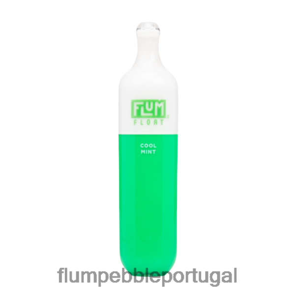 FLUM PEBBLE Review - FLUM FLOAT 3.000 baforadas H682F025 menta refrescante
