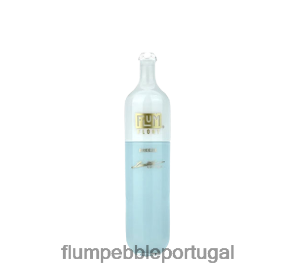 FLUM PEBBLE Vape Review - FLUM FLOAT 3.000 baforadas H682F019 brisa